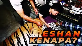 DUH.. ESHAN KENAPA NIH ?