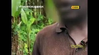 DRC TERROR AFTERMATH: Kishishe survivors haunted by nightmare of M23 occupation