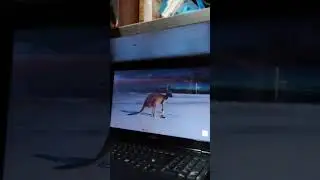 How to make the computer screen high contrast
