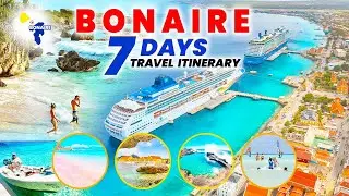 7-Day Travel Itinerary To Bonaire: Where Vibrant Waters And Rugged Landscapes Meet|CaribFocus Travel