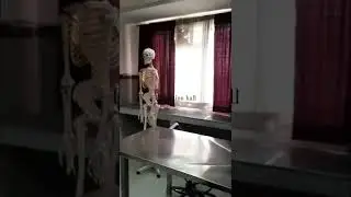 GMC BADAUN TOUR| Government medical college badaun