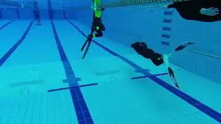 Alejandro Guedez : DYNB 185m : White Card