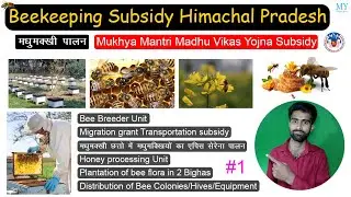 Beekeeping Subsidy HP | Madhumakhi Palan Subsidy Himachal | How To Apply For Beekeeping Grants HP