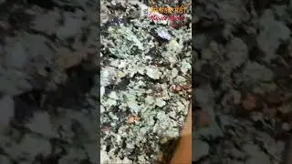 A1 Handpicked Black Stone Flower from Meghalaya