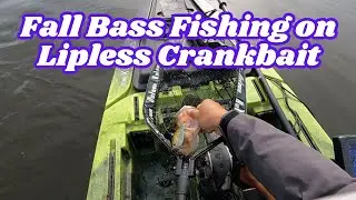Fall Bass Fishing = Lipless Crankbait | J-Hooked Fishing