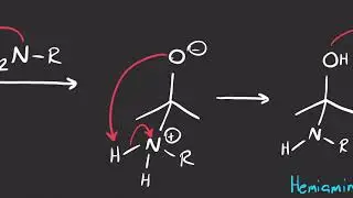 Carbonyls and Amines 1