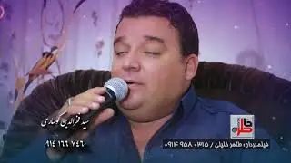 Said Fakhradin Kohsarii 2018 p  3