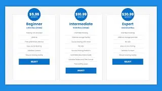 Pricing Table Using HTML And CSS