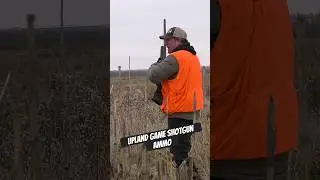 Break Down of Shotgun Shell Ammo for Upland Game Birds