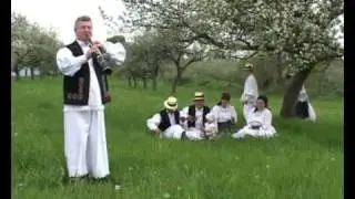 Dumitru Dobrican