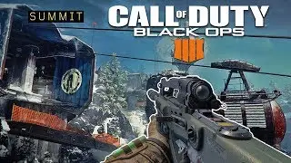 Best BO4 Gameplay with the Swordfish 2 - Summit TDM