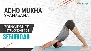 Adhomukha Svanasana. Instrucciones de Seguridad. Asanas de Yoga