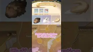 Locations for the Fluff & Fur