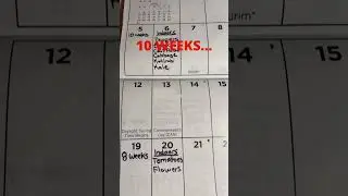 Seed Starting And Planting Schedule
