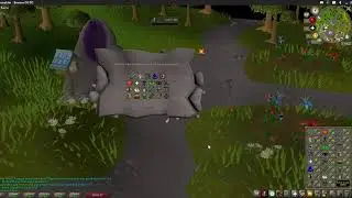 OSRS 10HP HCIM How to ruin a pure in seconds