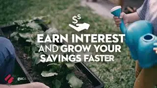 High Earning Savings Account short commercial