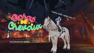 [SSO] - Achat de chevaux + blabla ! (FAQ, MEP, projet vid&eacute;os... ?)