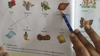 E.V.S |workbook |class-2| unit-2 |Plant and Animal Life| chapter -3| Plants And Their Uses|