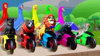 Long Slide Game With Cow Elephant Gorilla Hippopotamus Legendary Boss 3D Animal Game Funny 3D Animal