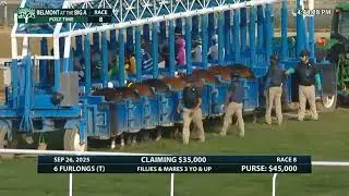 RACE 8/ Belmont At The Big A