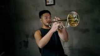 IF - Bread || Trumpet Song Cover 🎺