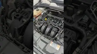 Regular engine