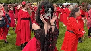How many Kate Bush can you fit in the Meadows, Edinburgh. Scotland?