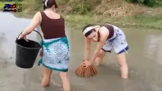 Beautiful Girl Fishing - Amazing Fishing at Battambang - How To Catch Fish By Hand #05