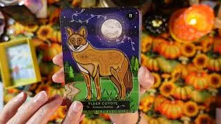 EARLY RELEASE! THE ANIMAL ELDERS ORACLE -Review- LET THE WISDOM OF YOUR ANIMAL ANCESTORS GUIDE YOU!