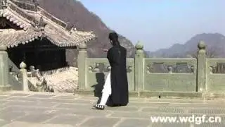 Wudang Taiji - Six Basic Skills of Taiji 武当太极基本功