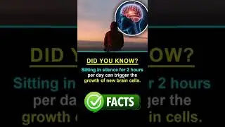 Silence Can Rewire Your Brain 🧠 | Powerful Mind Fact