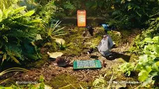 Dungy Dollar Intro - tombola sponsors I'm a Celebrity
