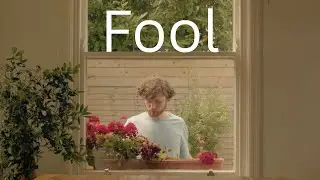 TROLI BEAR - Fool (Official Music Video)