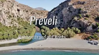 Preveli - Palmenstrand an der S&uuml;dk&uuml;ste Kretas | einfachnurreisen.de