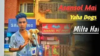 Dogs Seller || Asansol Pet Shop || Ayush Nonia