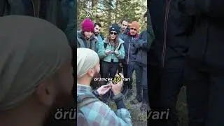 Doğada Hayatta Kalma : Mor Cincile ( Lepista nuda ) / Yabani Mantarlar