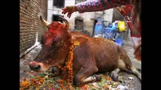 Superstitious Indian Culture