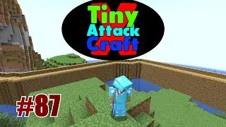 Facecam, Party-Star Shendi? & NVidia vs. AMD! - Tiny Craftattack 10 #87 | mit DerShendi & RizemauTV