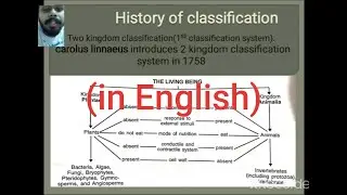 2 kingdom classification system