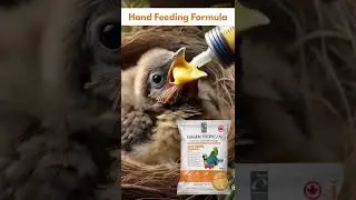Strong starts begin here! 🐣💪Tropican Hand-Feeding Formula #petsheart #petcare #babybirds