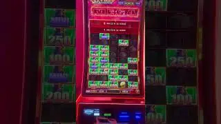 Бонус Mega Stampede на Buffalo Mega Stampede #shortsvideo #slot #slotscasinogames #shortsvideo