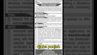 Khyber Medical University Jobs 2023