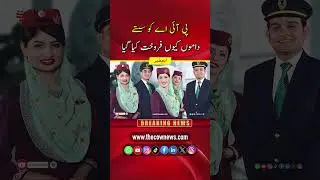 Why Was PIA Sold at a Cheap Price? | Explained