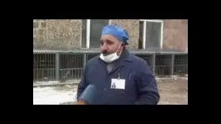 Заказ выполнен крайне непрофессионально !!!