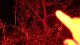 охота на бигфута, обновления