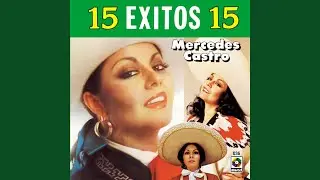 Vuelve Gaviota