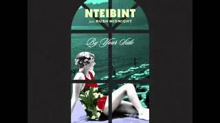 NTEIBINT - A Baby For My Bass