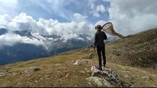 Talk Grasslands 2 2023 Flower-insect interactions in mountain ecosystems, by Eustacchio & Bonelli