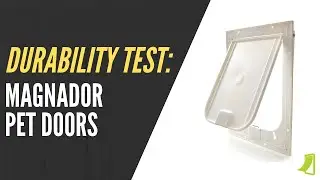 Durability Test & Review: Magnador Pet Doors
