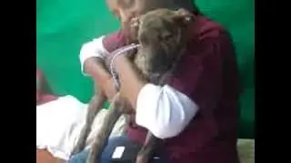 TIBET 5100 WATER RESOURCES HOLDINGS LTD (1115) - NEPAL Human Rights: Dog's Freedom